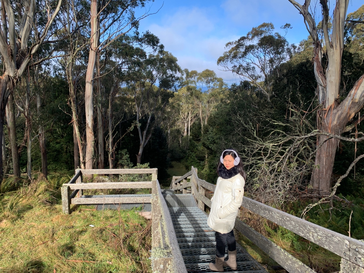 Mt Donna Buang in a Day